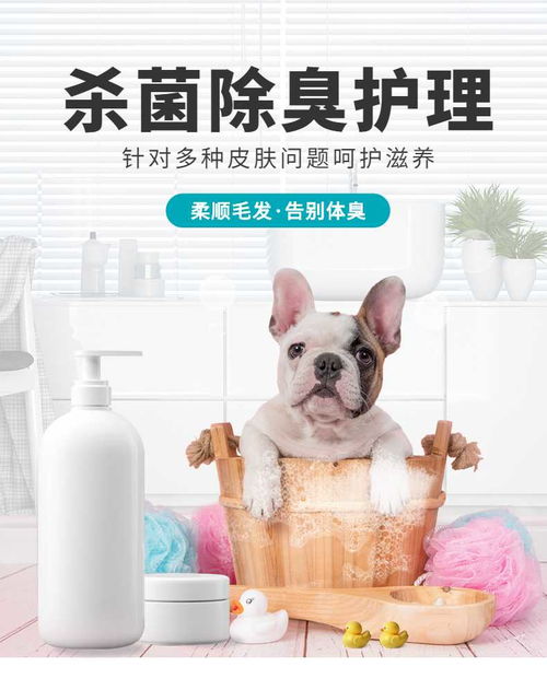 簡約設(shè)計(jì)，溫柔呵護(hù)——寵物洗護(hù)用品詳情頁 | 寵物全運(yùn)會聯(lián)名手機(jī)海報(bào)長圖