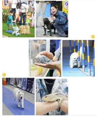 數(shù)萬寵業(yè)人齊聚潮寵展，這些亮點(diǎn)讓人驚呼OMG！寵物全運(yùn)會點(diǎn)燃行業(yè)激情